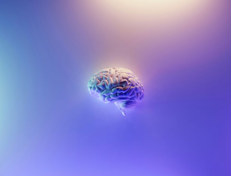 Ilustración de un cerebro