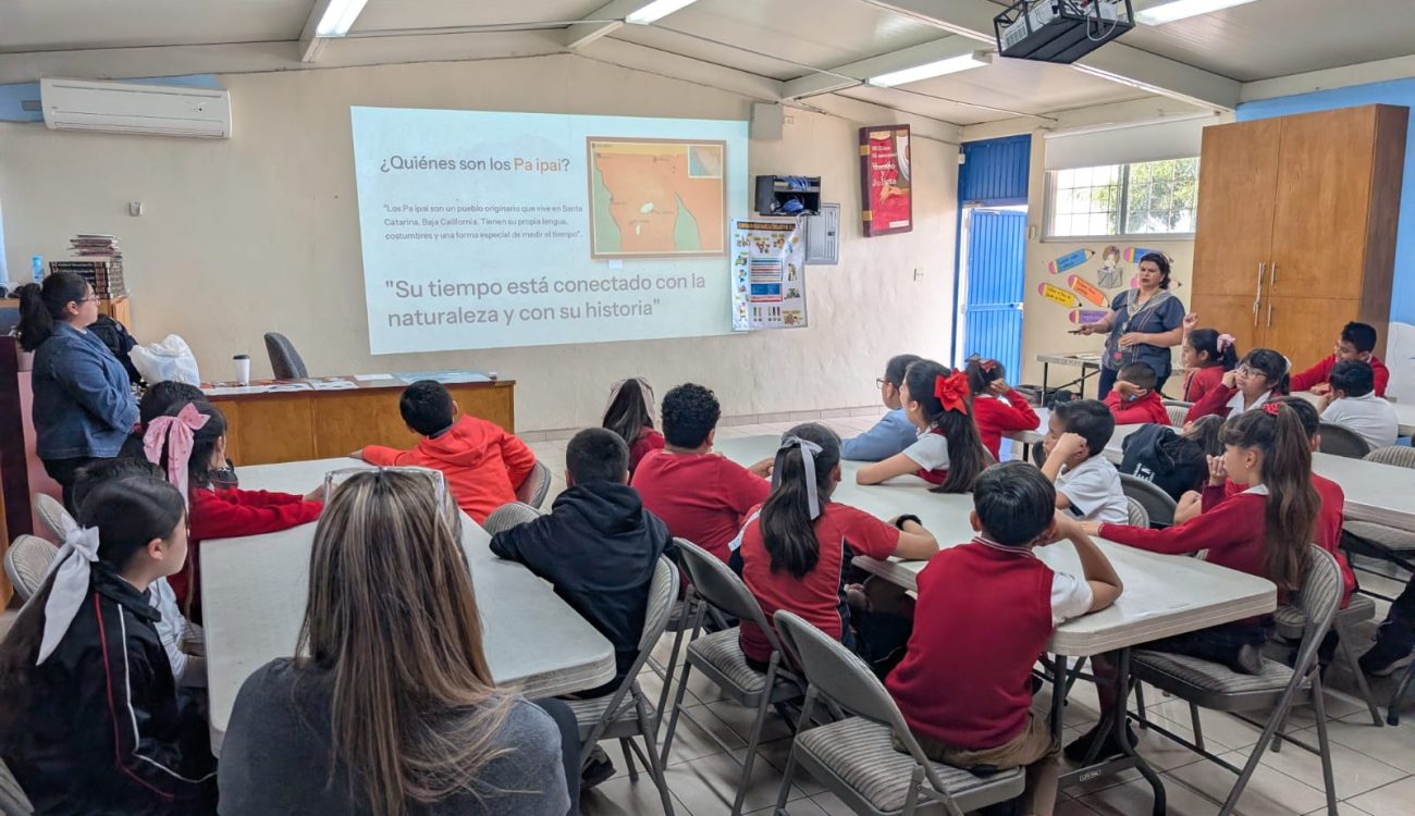 WhatsApp Image 2025-11-12 at 14.00.04